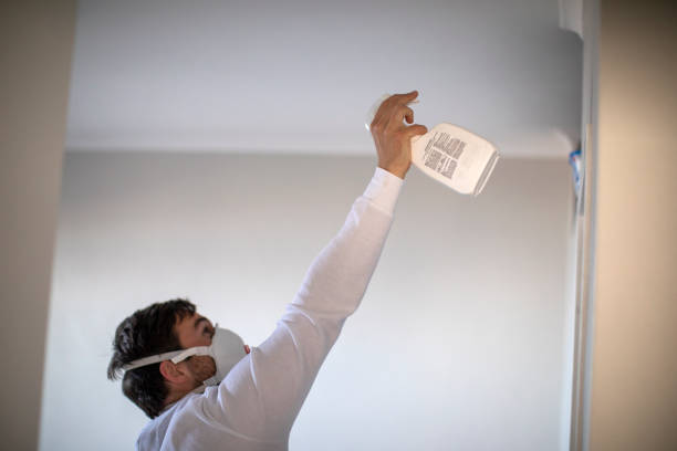 Best Mold Cleaning Services  in South Elgin, IL